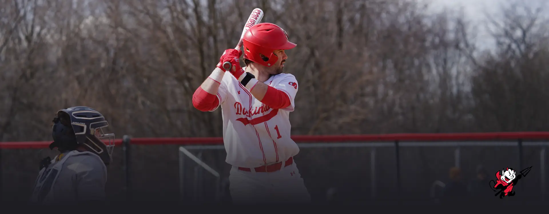 Red Devil Baseball Camps