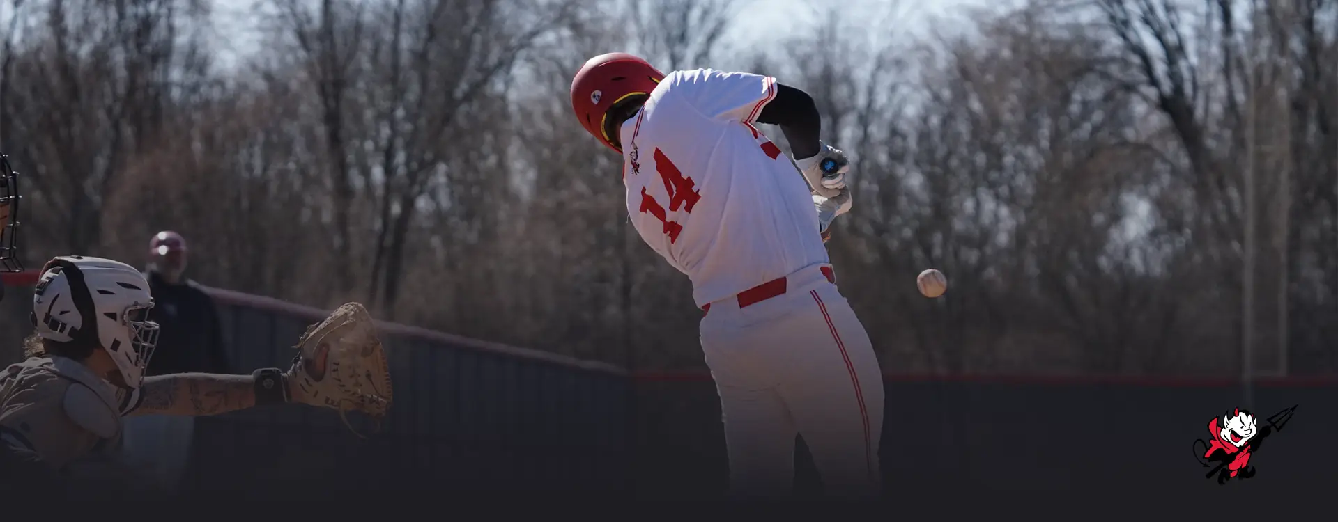 Red Devil Baseball Camps